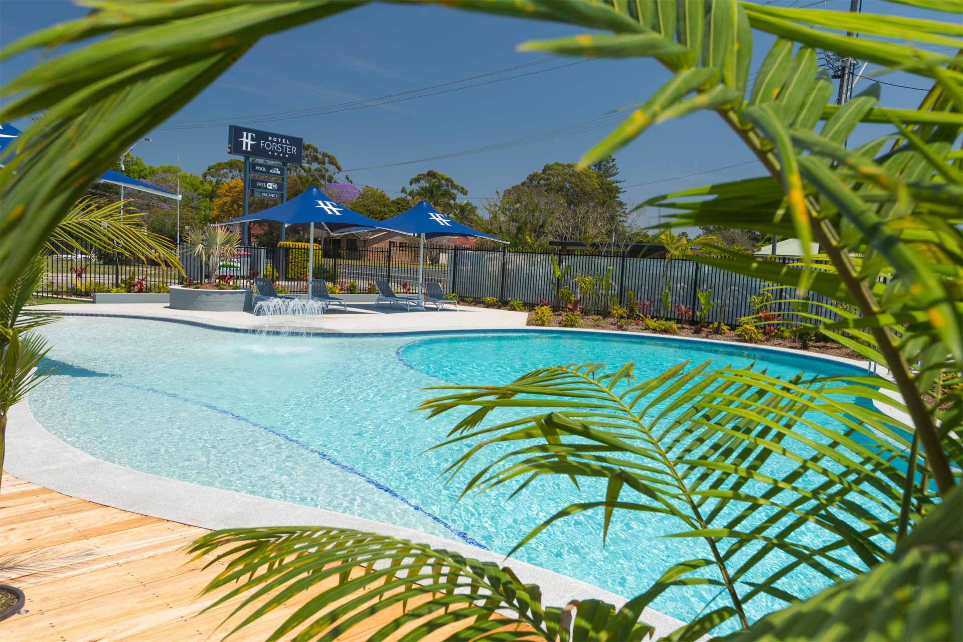 5. Peeking through the palms to the oasis at Hotel Forster